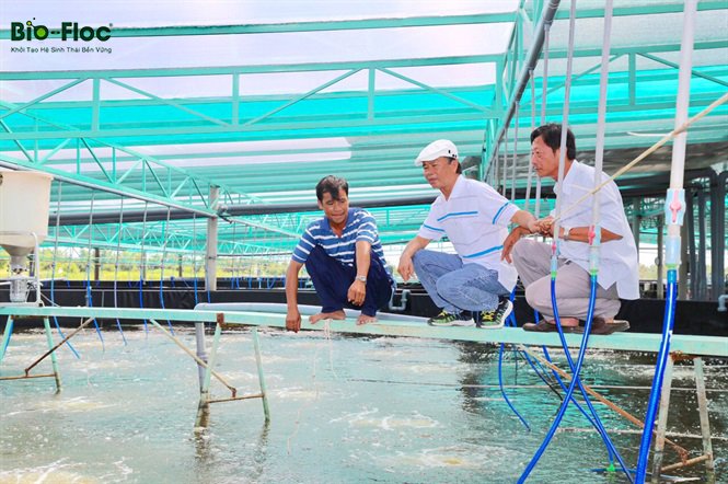 chế phẩm sinh học cho ao nuôi cá