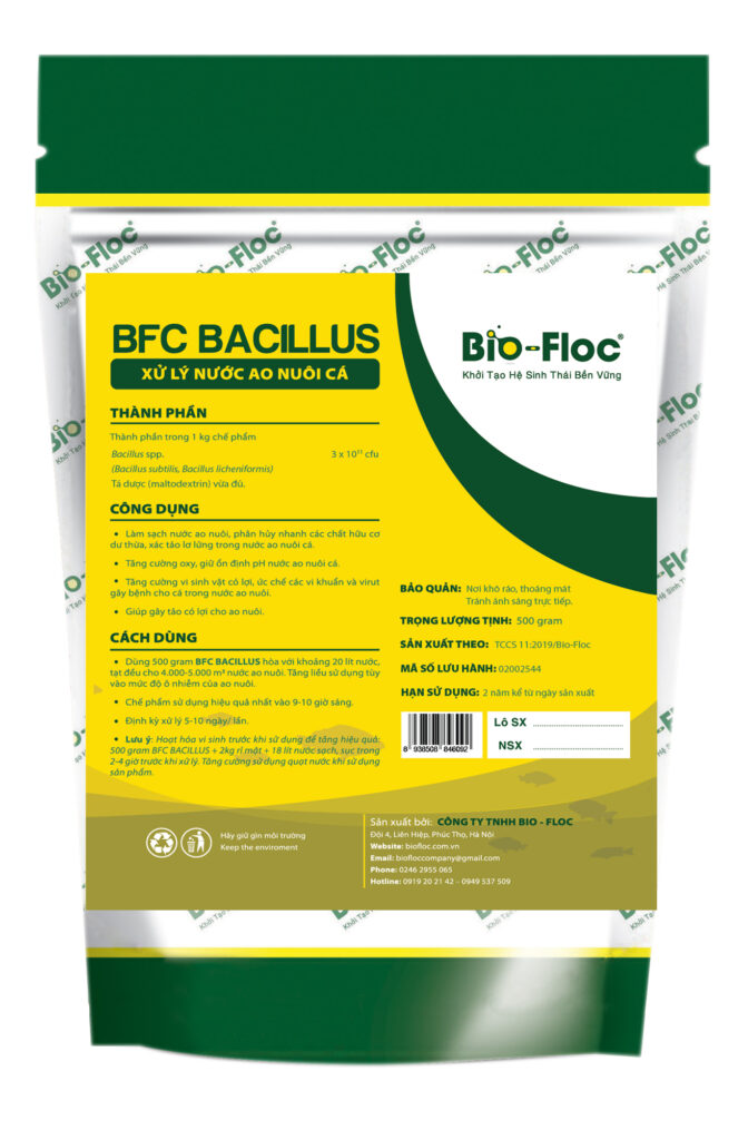 BFC BACILLUS