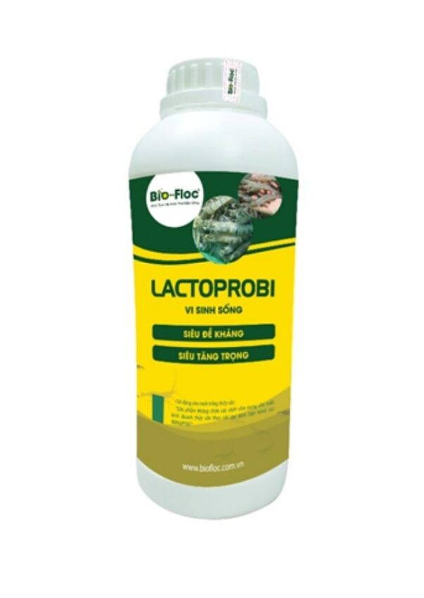 vi sinh, vi sinh xử lý đáy, men tiêu hóa, kỹ thuật nuôi cấy vi sinh, 