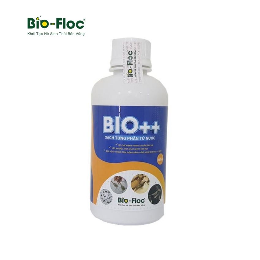 vi sinh, vi sinh xử lý đáy, men tiêu hóa, kỹ thuật nuôi cấy vi sinh, Quản Lý Môi Trường Ao Nuôi Tôm