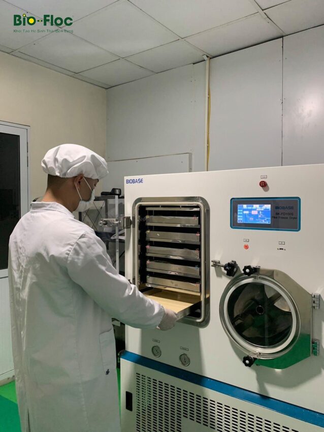 vi sinh, vi sinh xử lý đáy, men tiêu hóa, kỹ thuật nuôi cấy vi sinh, quy trình sản xuất