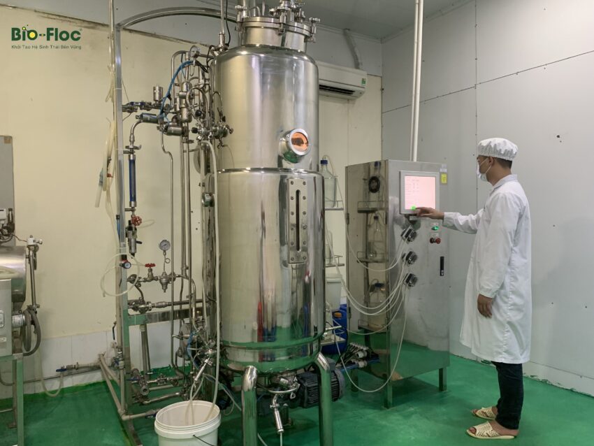 vi sinh, vi sinh xử lý đáy, men tiêu hóa, kỹ thuật nuôi cấy vi sinh