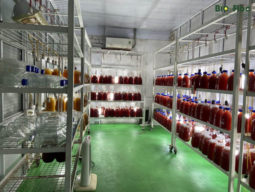 vi sinh, vi sinh xử lý đáy, men tiêu hóa, kỹ thuật nuôi cấy vi sinh, quy trình sản xuất