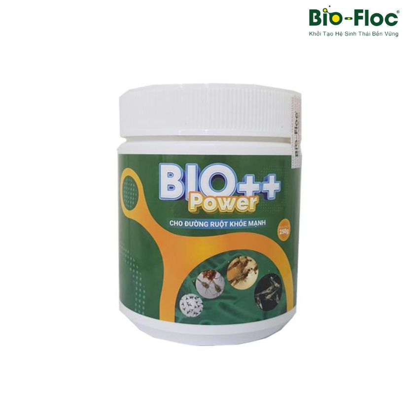 vi sinh, vi sinh xử lý đáy, men tiêu hóa, kỹ thuật nuôi cấy vi sinh