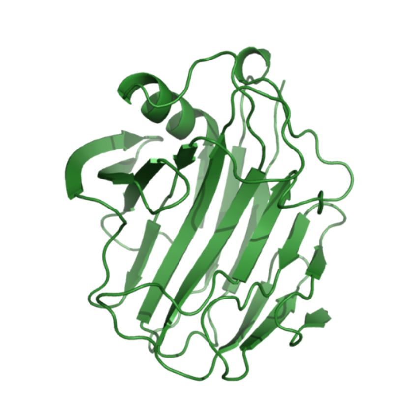 vi sinh, vi sinh xử lý đáy, men tiêu hóa, kỹ thuật nuôi cấy vi sinh, Chọn Enzyme trong nuôi trồng thủy sản