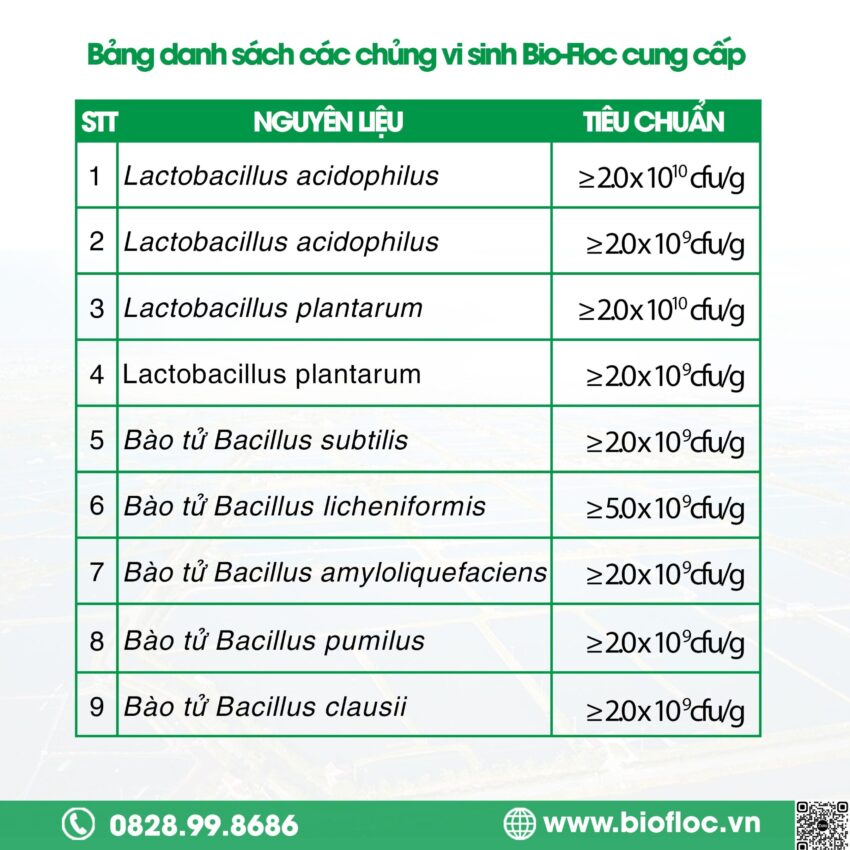 vi sinh, vi sinh xử lý đáy, men tiêu hóa, kỹ thuật nuôi cấy vi sinh , cung cấp nguyên liệu vi sinh