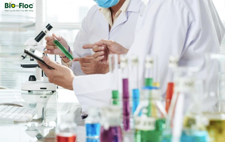 vi sinh, vi sinh xử lý đáy, men tiêu hóa, kỹ thuật nuôi cấy vi sinh