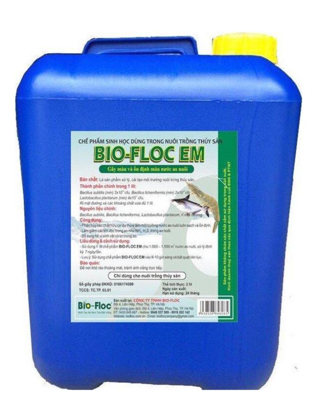 vi sinh, vi sinh xử lý đáy, men tiêu hóa, kỹ thuật nuôi cấy vi sinh