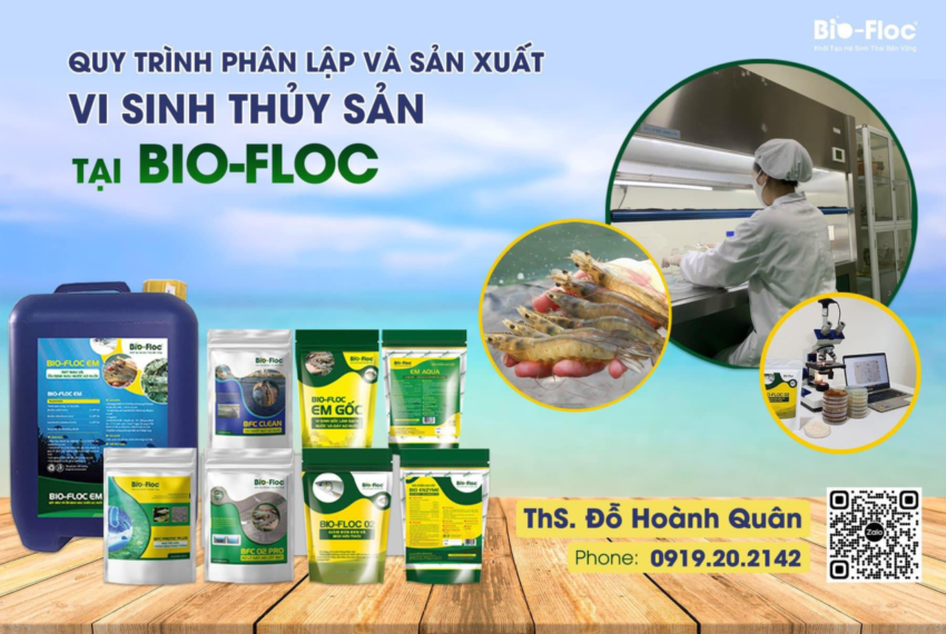 chế phẩm sinh học, vi sinh bản địa, vi sinh, vi sinh xử lý đáy, men tiêu hóa, kỹ thuật nuôi cấy vi sinh, nông nghiệp sạch