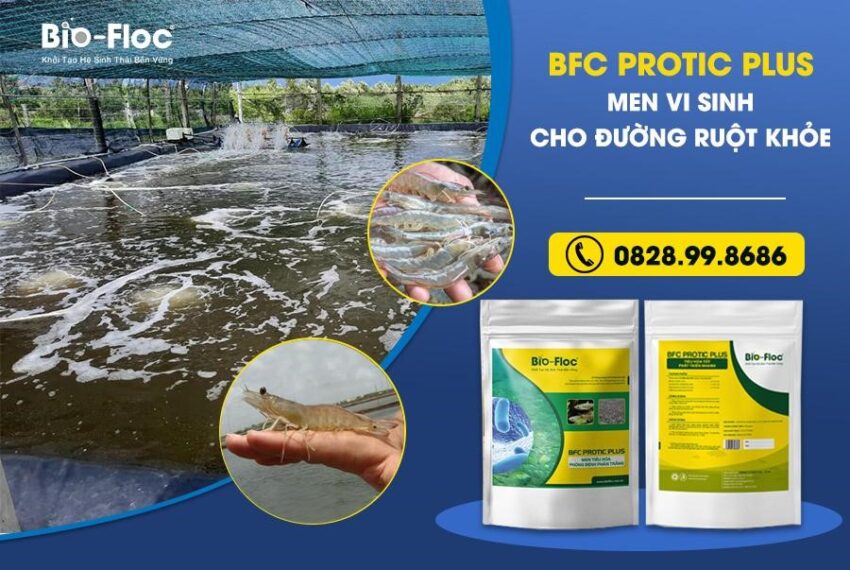 chế phẩm sinh học, vi sinh bản địa, vi sinh, vi sinh xử lý đáy, men tiêu hóa, kỹ thuật nuôi cấy vi sinh