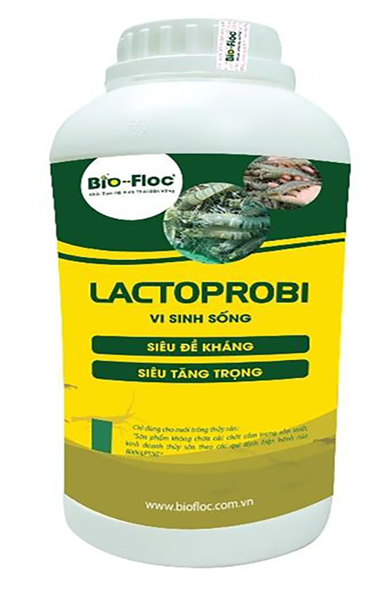 chế phẩm sinh học, vi sinh bản địa, vi sinh, vi sinh xử lý đáy, men tiêu hóa, kỹ thuật nuôi cấy vi sinh, vi sinh sống ủ tỏi