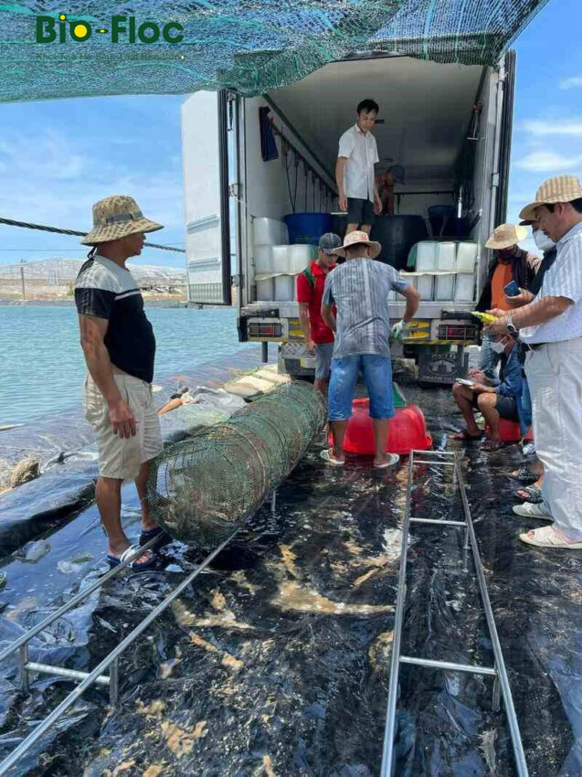 chế phẩm sinh học, vi sinh bản địa, vi sinh, vi sinh xử lý đáy, men tiêu hóa, kỹ thuật nuôi cấy vi sinh