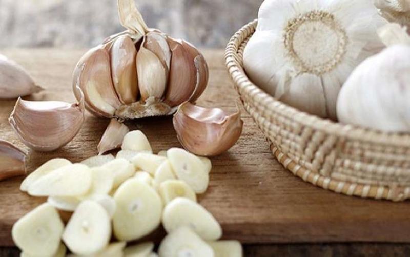 chế phẩm sinh học, vi sinh bản địa, vi sinh, vi sinh xử lý đáy, men tiêu hóa, kỹ thuật nuôi cấy vi sinh