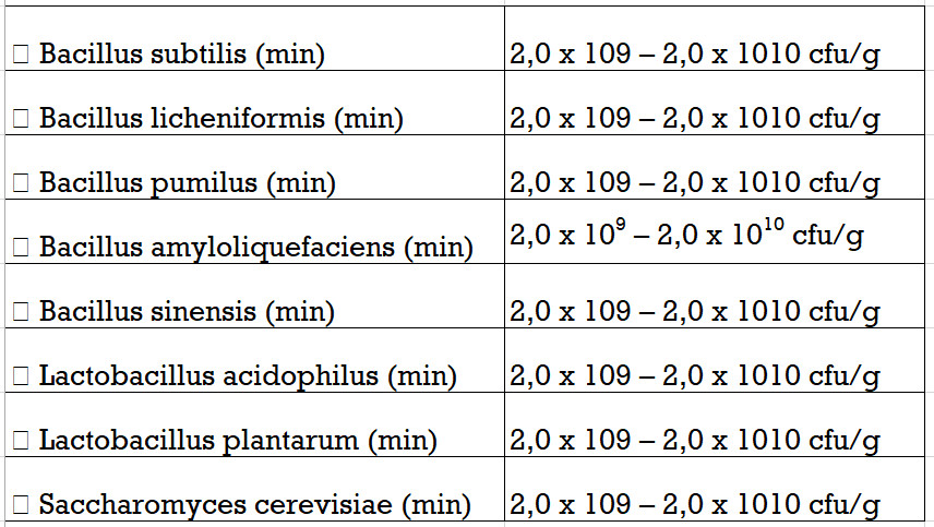 chế phẩm sinh học, vi sinh bản địa, vi sinh, vi sinh xử lý đáy, men tiêu hóa, kỹ thuật nuôi cấy vi sinh