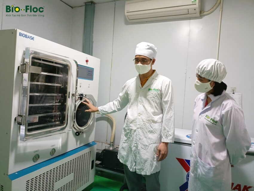 chế phẩm sinh học, vi sinh bản địa, vi sinh, vi sinh xử lý đáy, men tiêu hóa, kỹ thuật nuôi cấy vi sinh