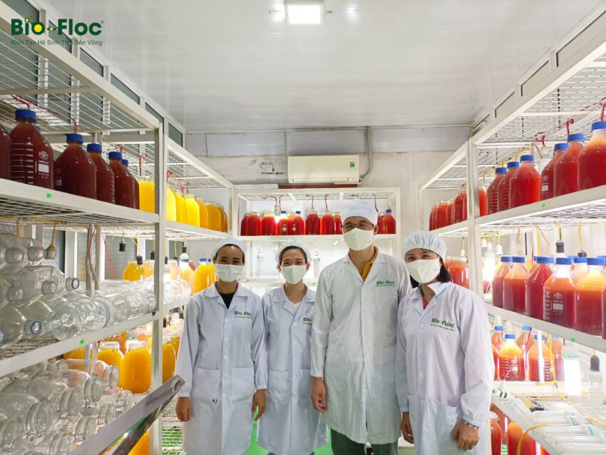 chế phẩm sinh học, vi sinh bản địa, vi sinh, vi sinh xử lý đáy, men tiêu hóa, kỹ thuật nuôi cấy vi sinh