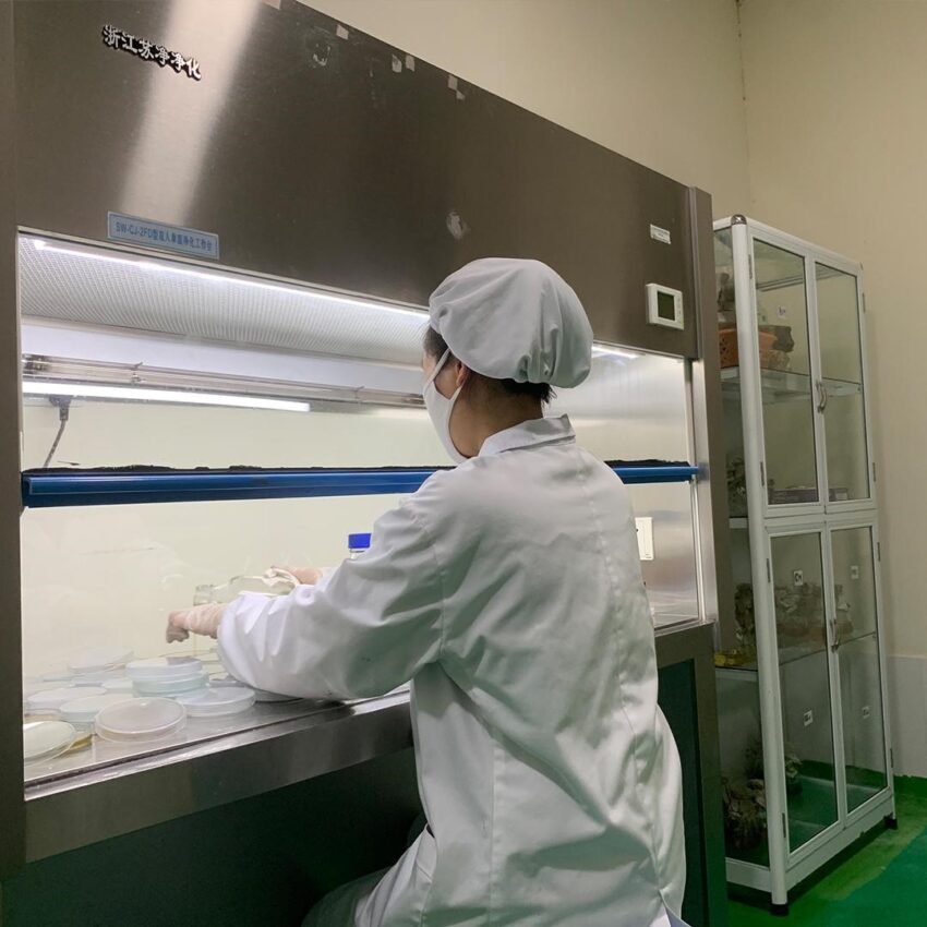 vi sinh, vi sinh xử lý đáy, men tiêu hóa, kỹ thuật nuôi cấy vi sinh, Nhà máy sản xuất vi sinh