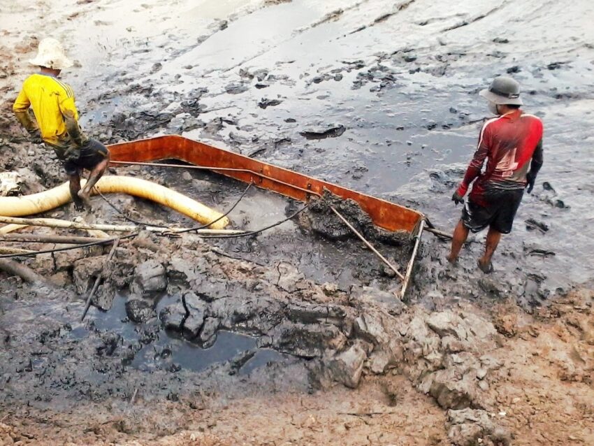 vi sinh, men tiêu hóa, kỹ thuật nuôi cấy vi sinh