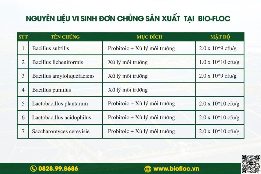 vi sinh, vi sinh xử lý đáy, men tiêu hóa, kỹ thuật nuôi cấy vi sinh, nguyên liệu vi sinh đơn chủng