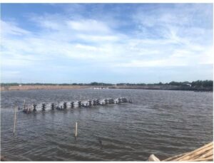 Chế phẩm sinh học thủy sản