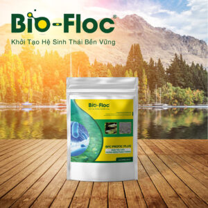 Đánh bay nỗi lo tôm còi cọc, chậm lớn