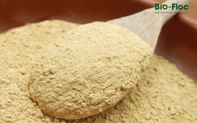 Nguyên liệu vi sinh đơn chủng sản xuất tại nhà máy Bio-Floc