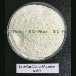 Nguyên liệu vi sinh đơn chủng sản xuất tại nhà máy Bio-Floc