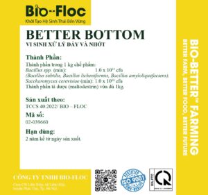 Better Bottom