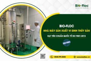 Chủng B. licheniformis, Chủng Bacillus subtilis