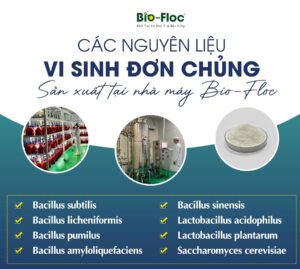nguyên liệu vi sinh tại Bio-Floc