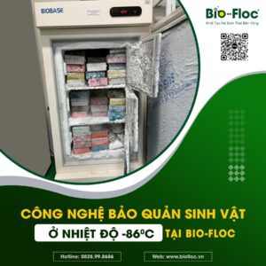 công nghệ lõi tạo chế phẩm vi sinh