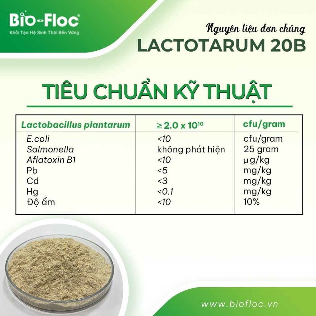 LACTOTARUM 20B