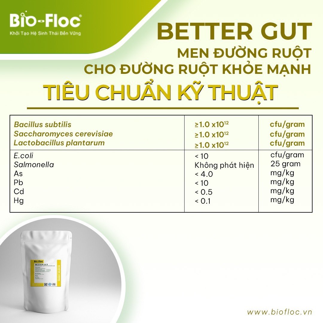 nguyên liệu vi sinh BETTER GUT