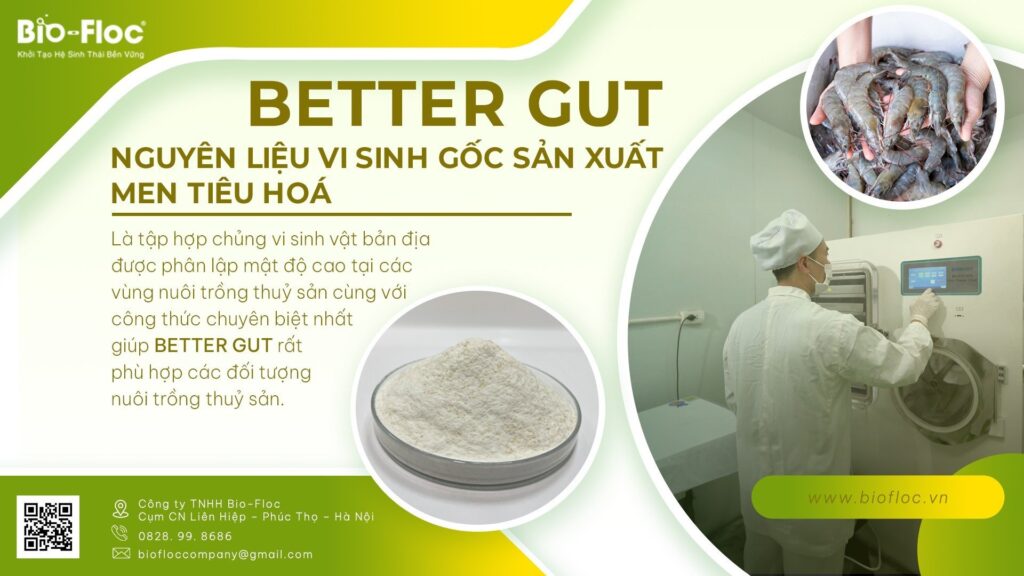 nguyên liệu vi sinh BETTER GUT