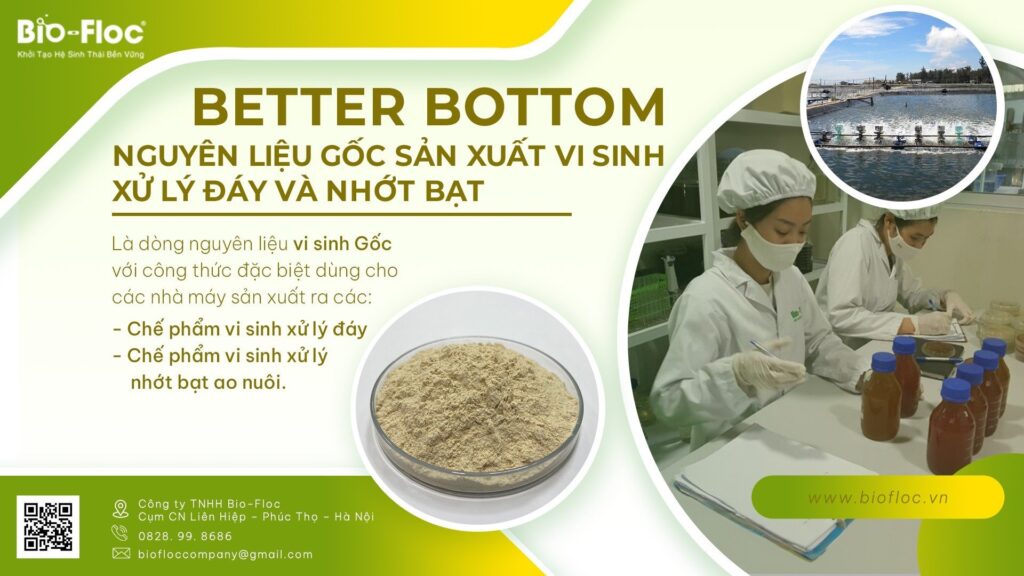 nguyên liệu BETTER BOTTOM