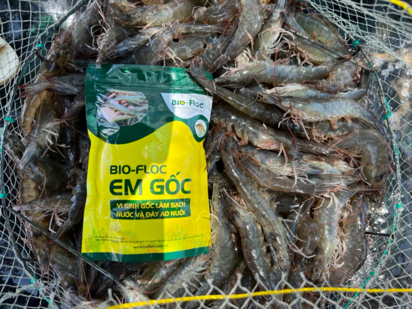 chế phẩm EM Gốc