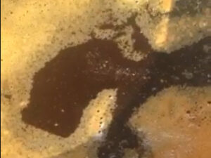 chế phẩm EM Gốc