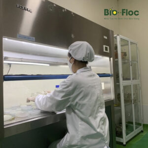 Gia công chế phẩm vi sinh