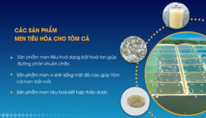 Nhà máy Bio-Floc gia công thuốc thuỷ sản