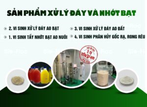Nhà máy Bio-Floc gia công thuốc thuỷ sản