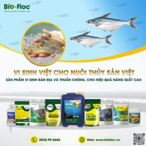 Chế phẩm vi sinh đối kháng mầm bệnh