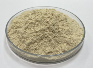 Nguyên liệu vi sinh ức chế khuẩn Vibrio