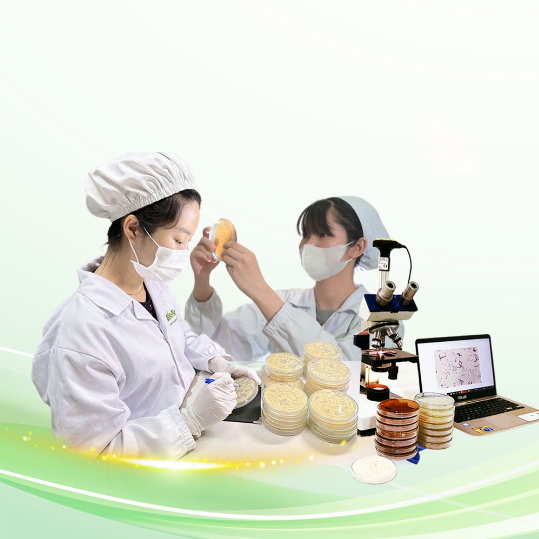 vi sinh vật bản địa