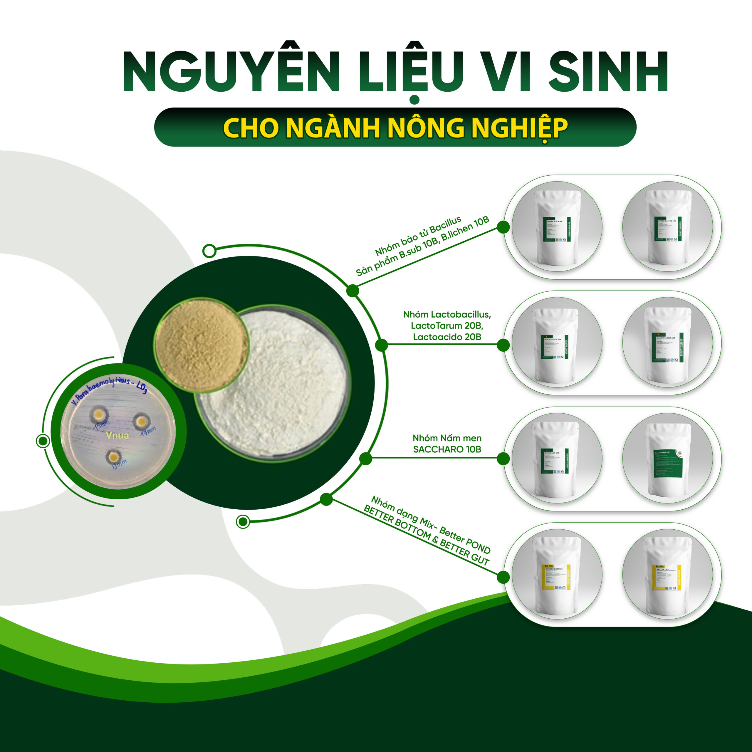 nguyên liệu vi sinh ngành nông nghiệp, vi sinh nông nghiệp, Bio-Floc