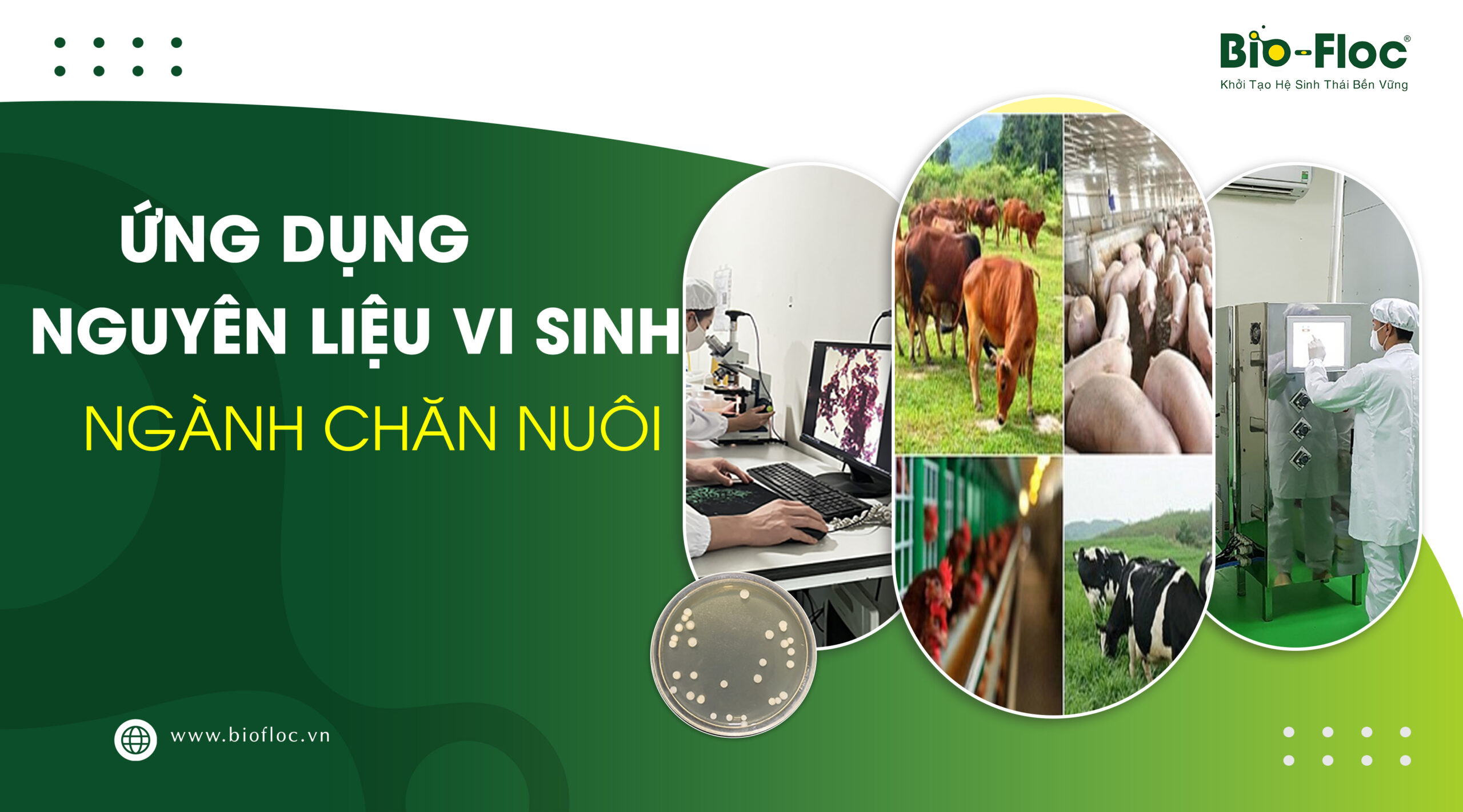 nguyên liệu vi sinh ngành chăn nuôi, vi sinh nguyên liệu, nguyên liệu vi sinh, Bio-Floc