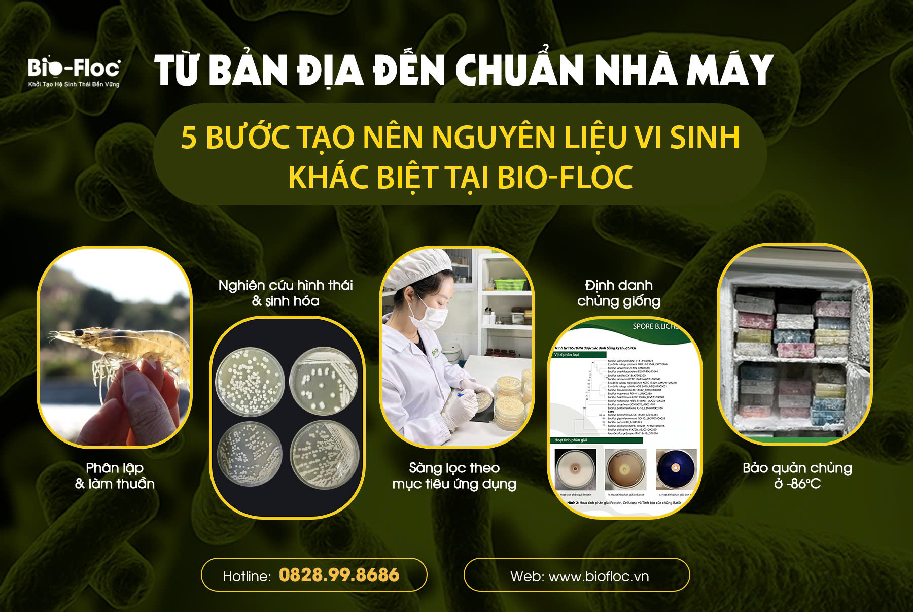 vi sinh nguyên liệu bản địa