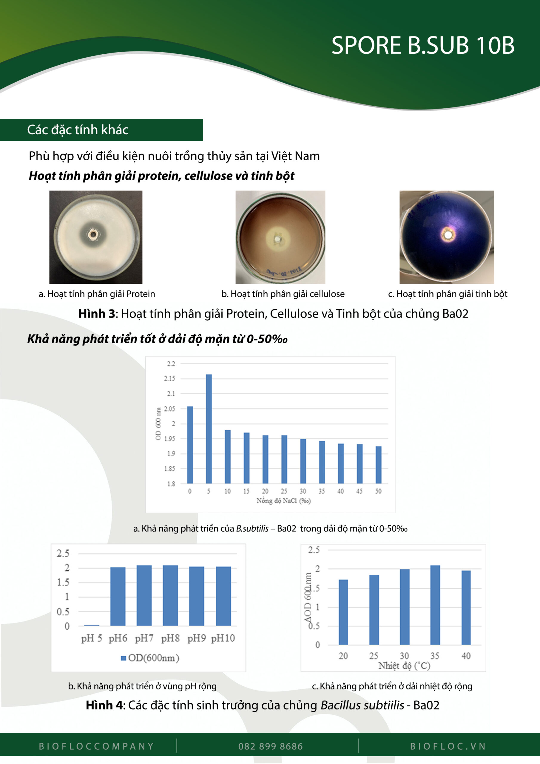 Nguyên liệu vi sinh Bacillus subtilis
