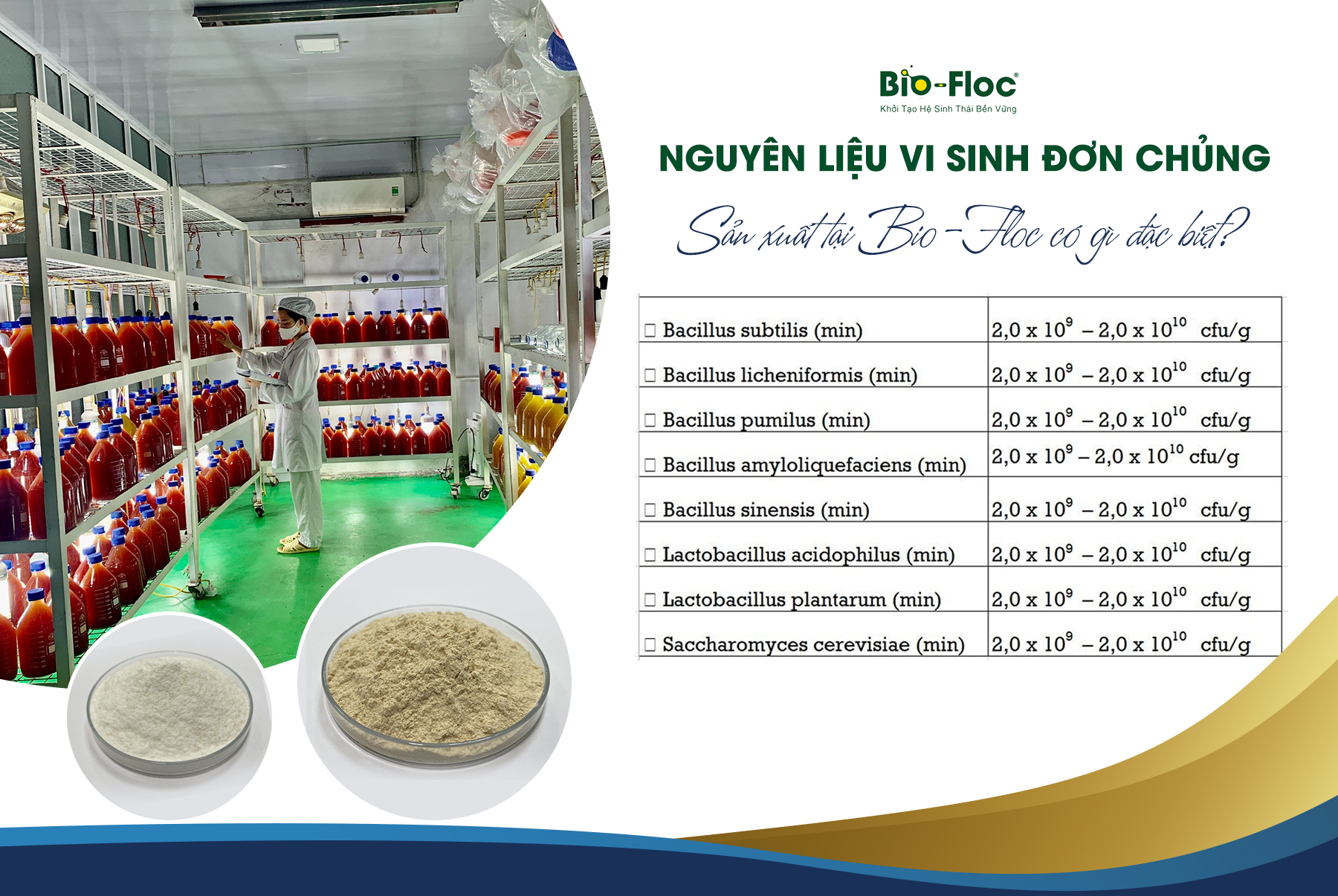 nguyên liệu vi sinh bản địa