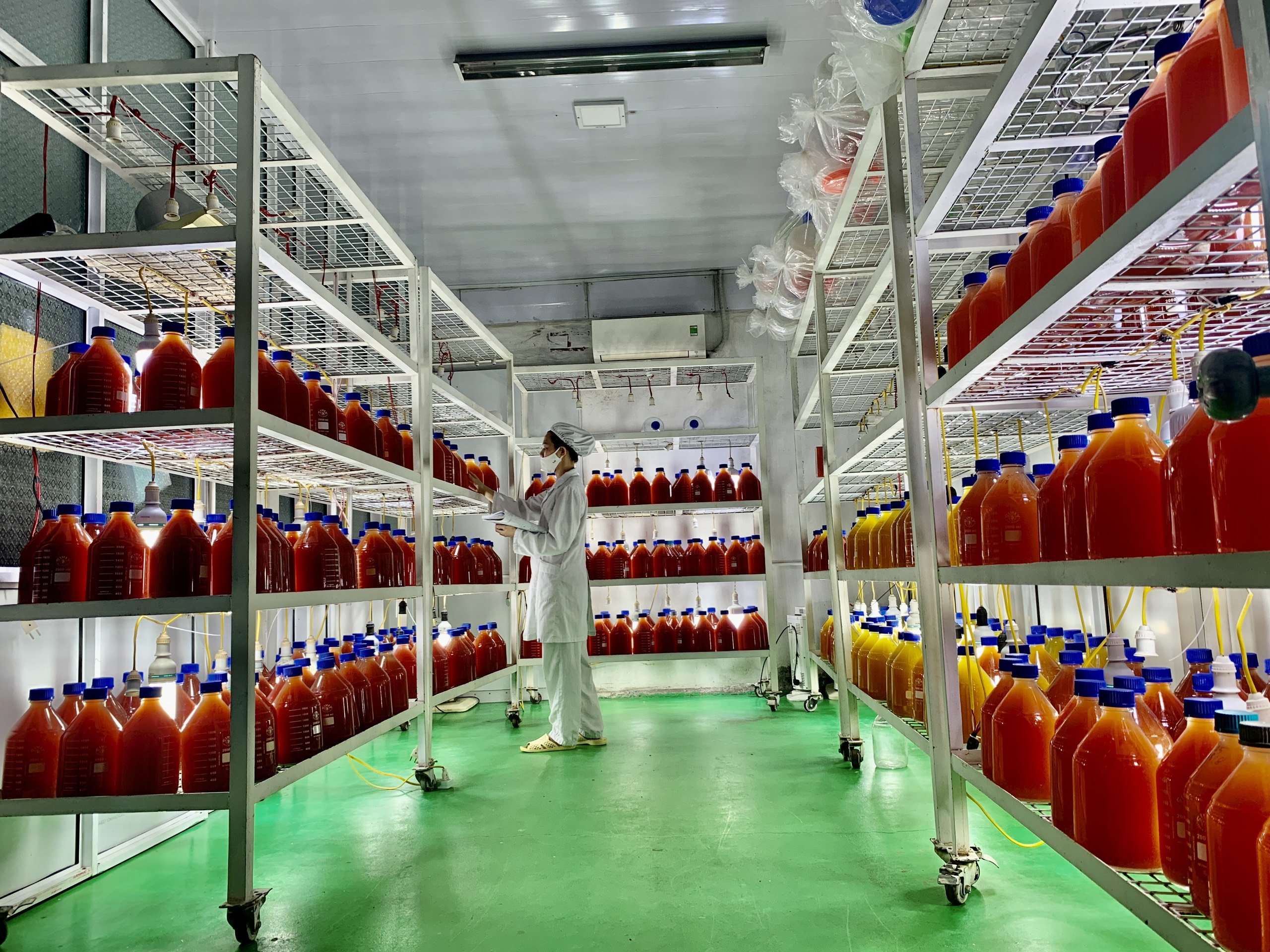 nguyên liệu vi sinh bản địa