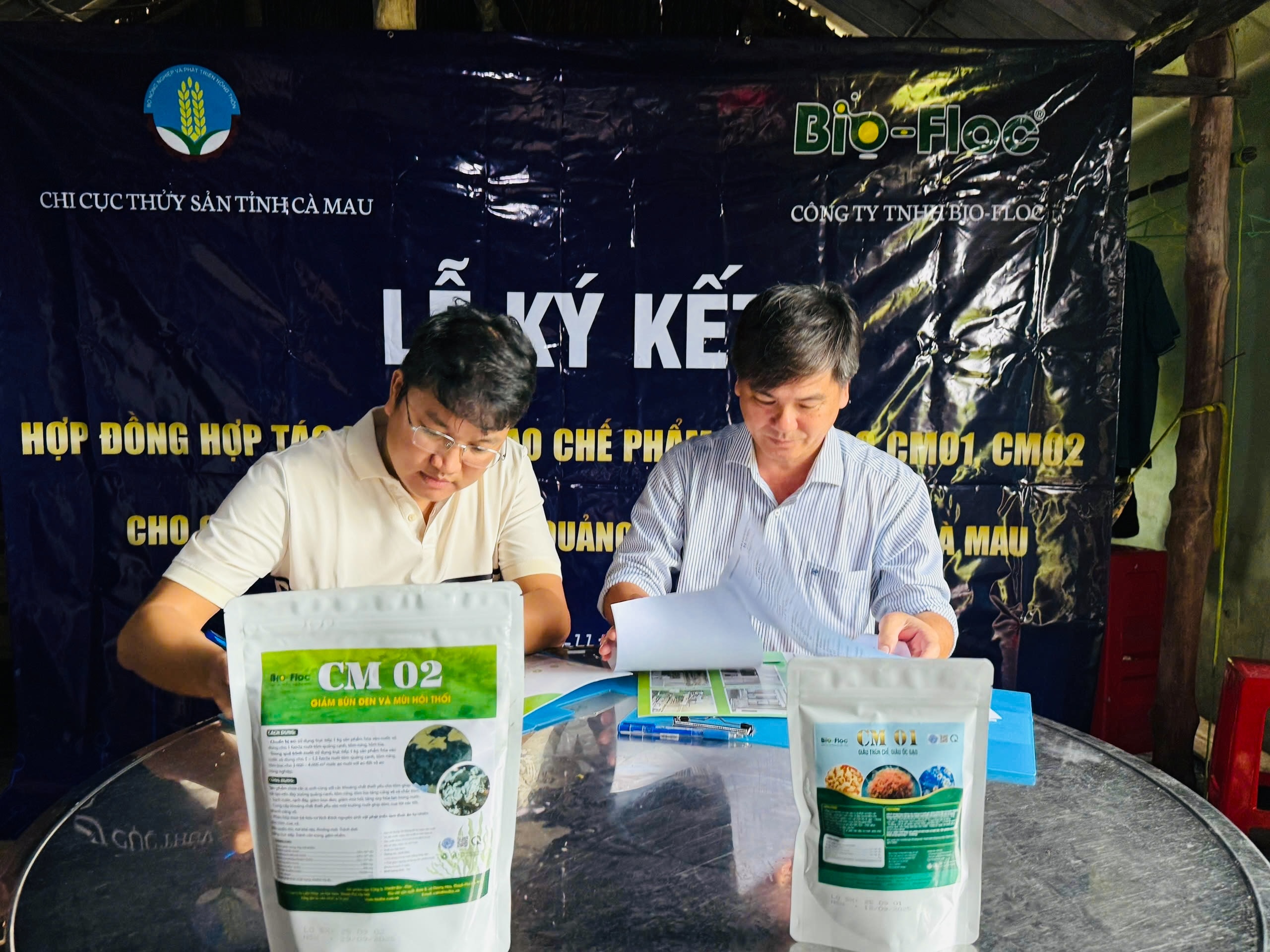 Nuôi tôm quảng canh cải tiến